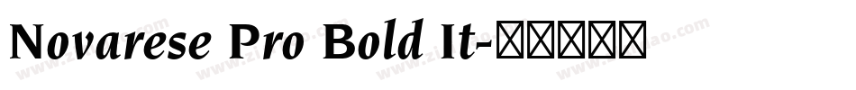 Novarese Pro Bold It字体转换